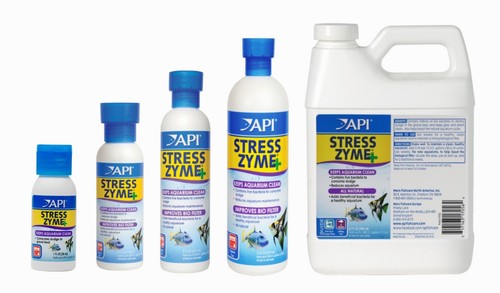 Api stress zyme live bacteria - api,