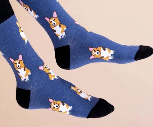 Ladies cute blue corgi - ladies,