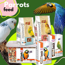 Premium parrot food mix - parrot,