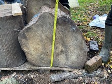 Lime Tree Log ideal for