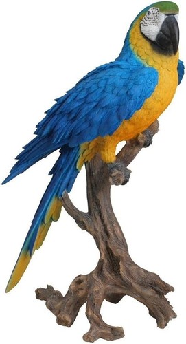 Vivid arts real life - vivid, perched