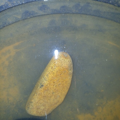 Gold ore - gold, rock