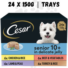 24x Cesar Senior 10+ Wet Dog