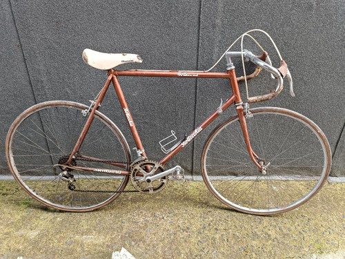 Bottecchia racing bike 60s 70s - bike, 60s/70s
