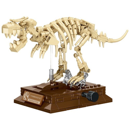 Dinosaur fossil skeleton - dinosaur,