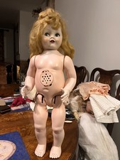 Vintage 1950s Pedigree Saucy