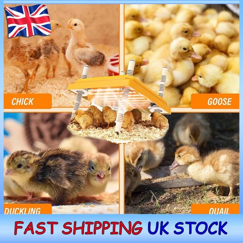 Poultry brooder heating plate - poultry,