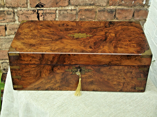 Large beautiful burr walnut - large,