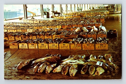 Scotland aberdeen fish - aberdeen,
