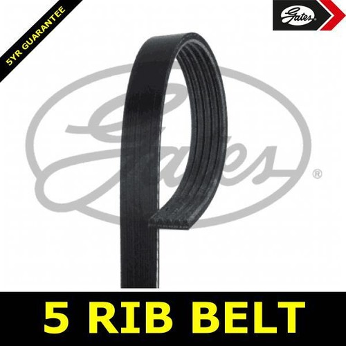 Alternator belt ribbed - alternator,
