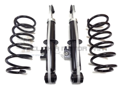 Rear suspension coil springs - suspension,