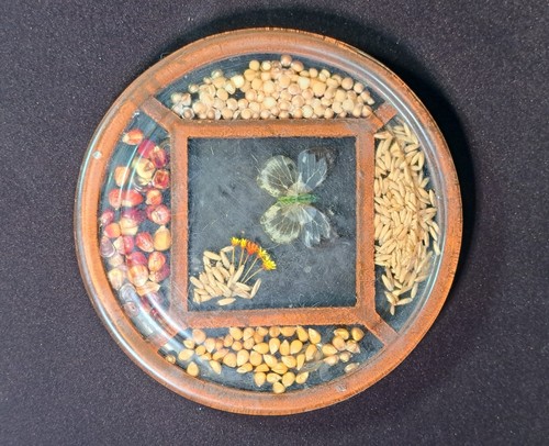 Vtg lucite acrylic resin - vtg,