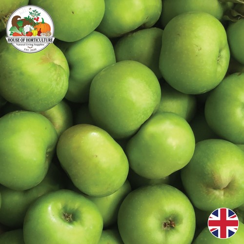 Fresh british bramley apples - fresh,
