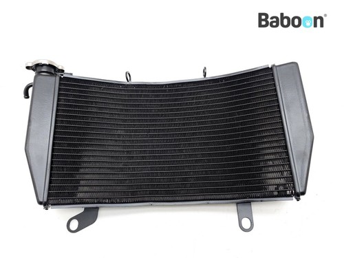 Radiator honda 1300 pan - radiator, st
