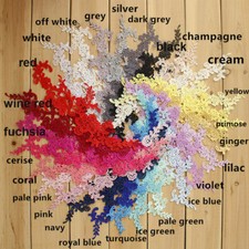 Mirror Pair Flower Guipure