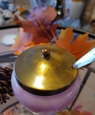 Vintage Pink Flamenco Glass