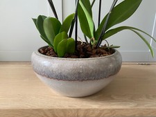 Glazed Clay Planter