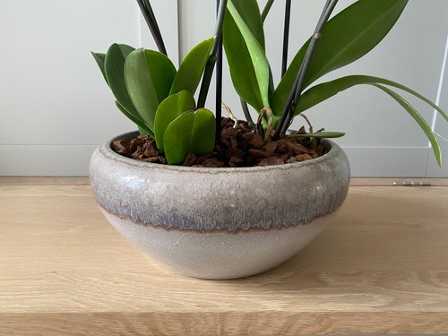 Glazed clay planter - clay,