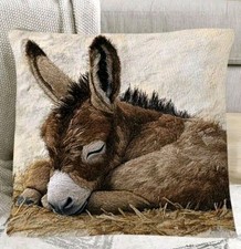 Beautiful Sleeping Donkey