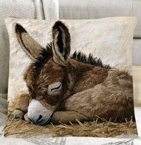 Beautiful sleeping donkey - sleeping,