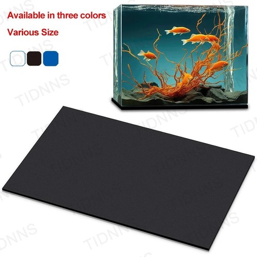 Aquarium fish tank - aquarium,