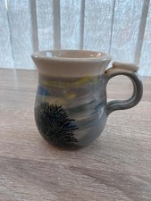 Boscastle Studio Pottery Mug