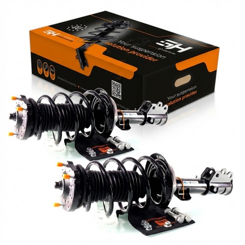 Complete struts assembly - 2x,
