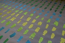 Scion Dash Blue/Lime Green