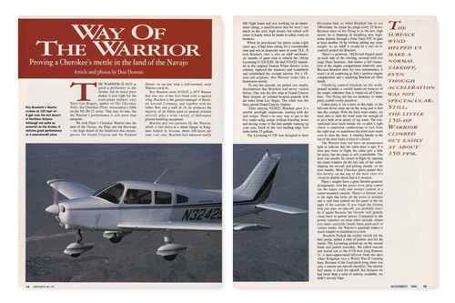 Piper warrior aircraft - warrior, report