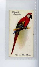 (Jh9595) JOHN PLAYERS,AVIARY & CAGE BIRDS,RED & BLUE MACAW,1933,#30