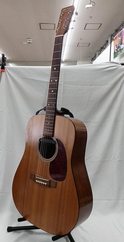 Martin acoustic guitar - martin,