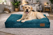 Snug & Cosy Pets | Blue