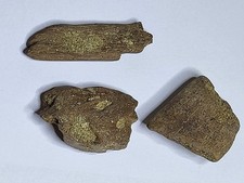 BARGAIN!3 x Triceratops