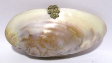 Vintage Art Deco Mussel Shell Coin Purse With Brass Hinge and Clasp Has Damage