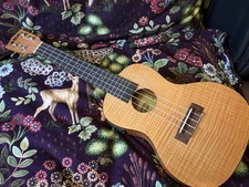 Kala KA-CEME Exotic Mahogany Concert Ukulele Acoustic Electric