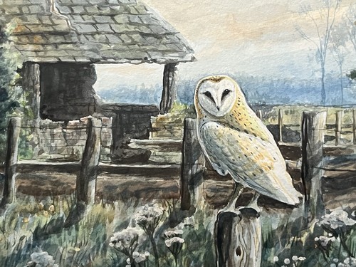 Robert davison a - (british),
