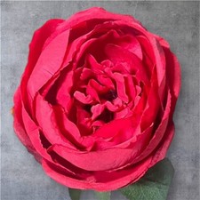 Artificial Peony Stem –