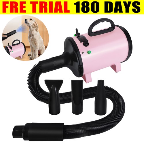 Dog hair dryer low - dog,