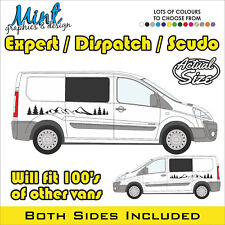 FIAT SCUDO SWB Camper Side
