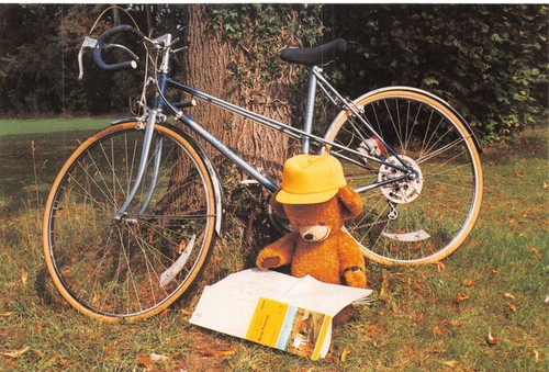 Topics postcard teddy - p,