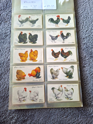 Player poultry cigarette - player's,
