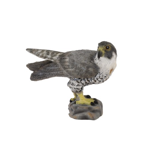 Collecta peregrine falcon - collecta,