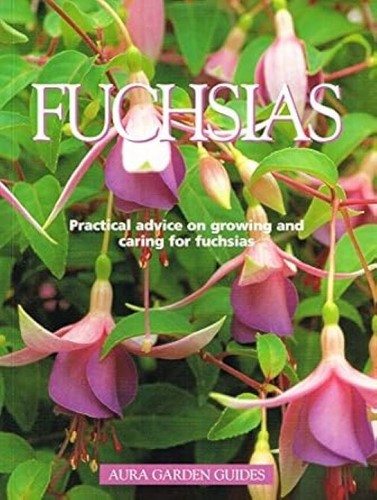 Fuchsias - fuchsias, garden