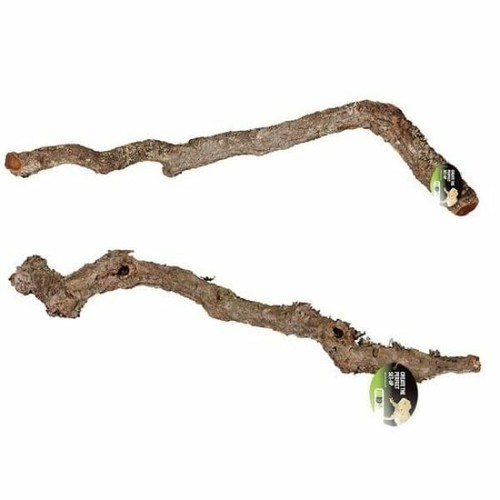Prorep cork oak branch - prorep,