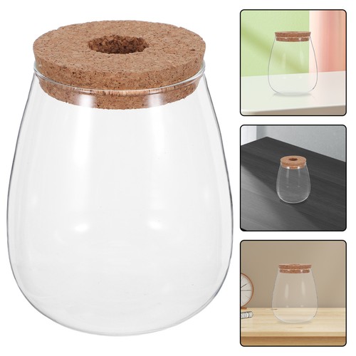Sets plant cultivation vase - sets,