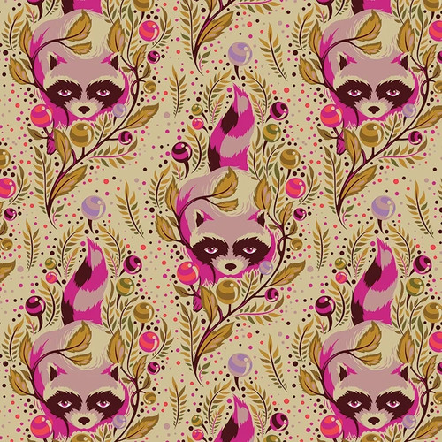 Wof acacia raccoon - 40", x