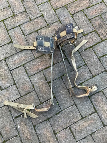 Vintage tree surgeon climbing - vintage,