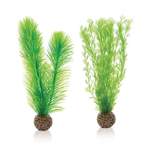 Feather fern set 46083 - set, 46083.0