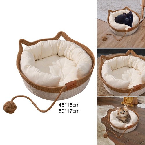Cat bed basket sleeping - cat,
