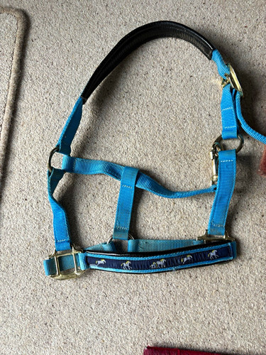 Blue nylon horse headcollar - blue,